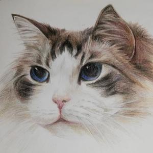 一池翠萍柳生烟