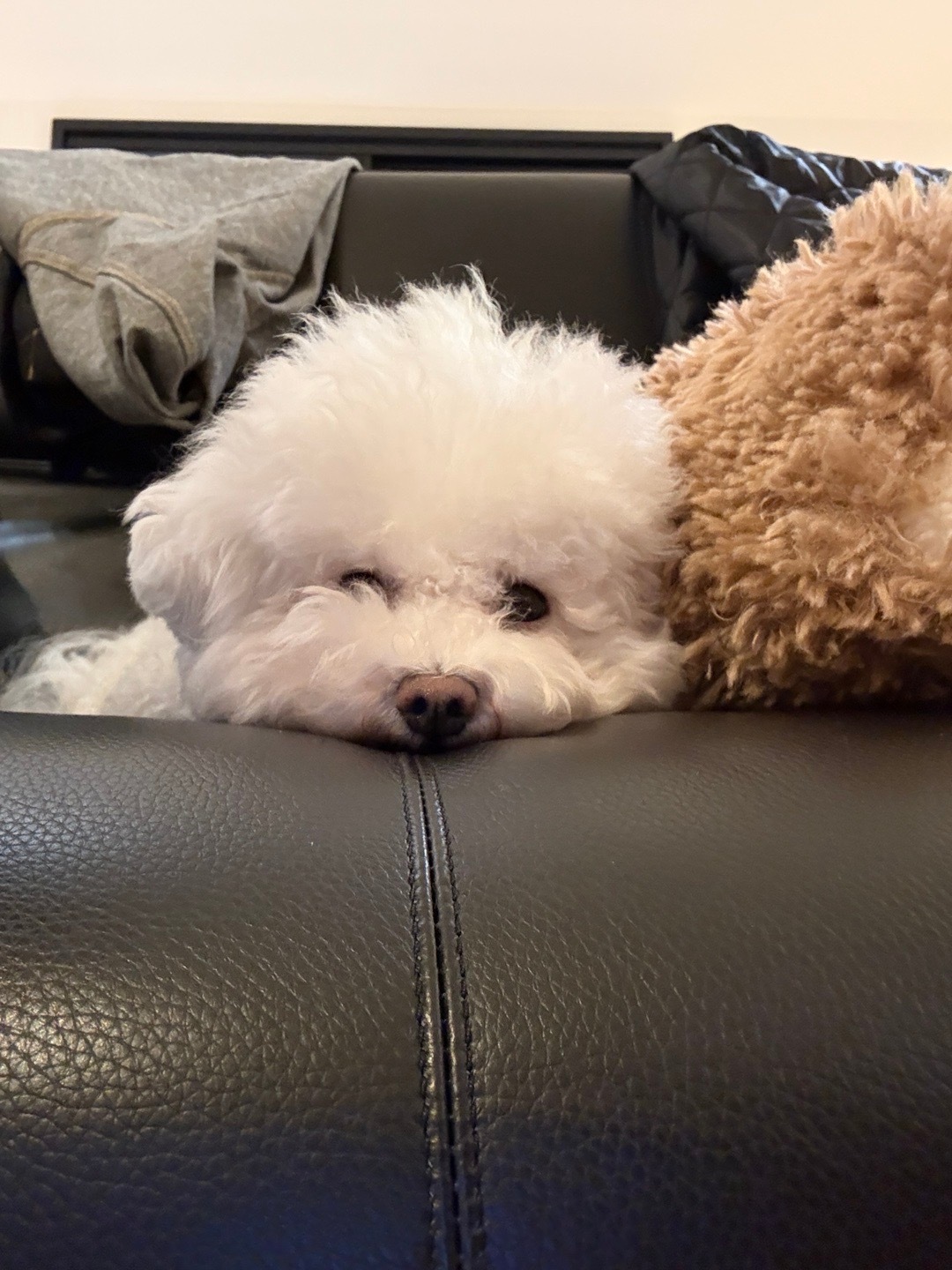 分儿享儿新鲜事儿 