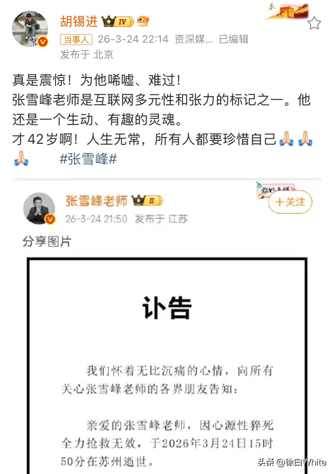 3月25日，胡锡进，刘维，唐尚珺发文悼念张雪峰！唏嘘，难过，感激，百感交集！
张