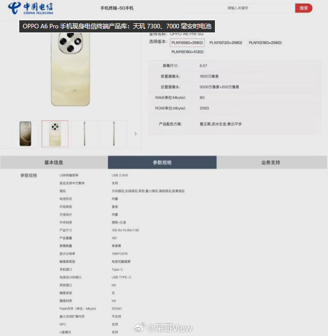 OPPO A6 Pro已经进了中国电信的终端产品库，既然主打中端机型，我觉得要是
