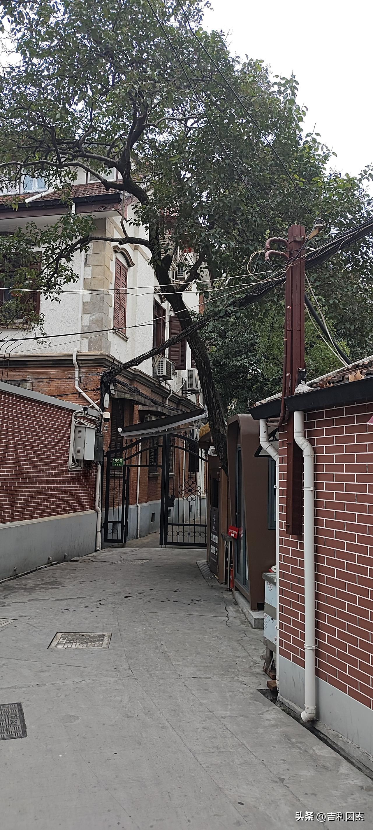 一亩地真的能产万斤粮食吗过去说是有。事实上就目前的农业技术水平，还没有办法实现这