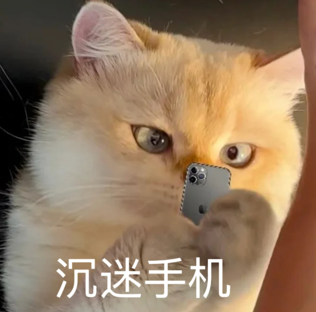 当暑假工发了工资 暑假打工发了工资不得先给自己换部手机？ ​​​