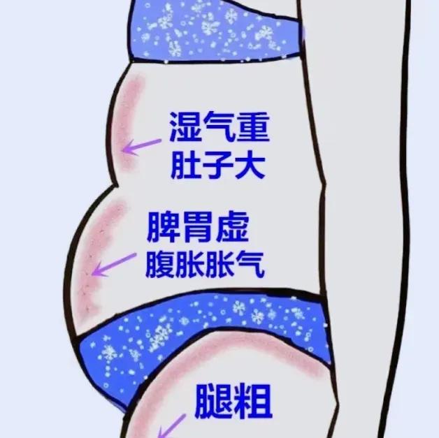 逍遥丸竟然能这么搭配？不仅祛湿还能减脂，肥肉不再来敲门！

逍遥丸的神奇搭配，让