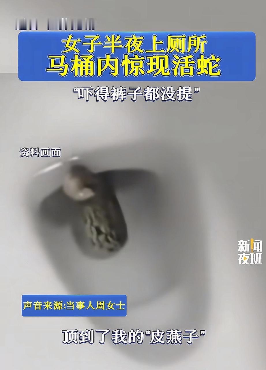 “深夜惊魂！”马桶里钻出不速之客，深夜江苏无锡的周女士起夜去厕所，结果被什么东西