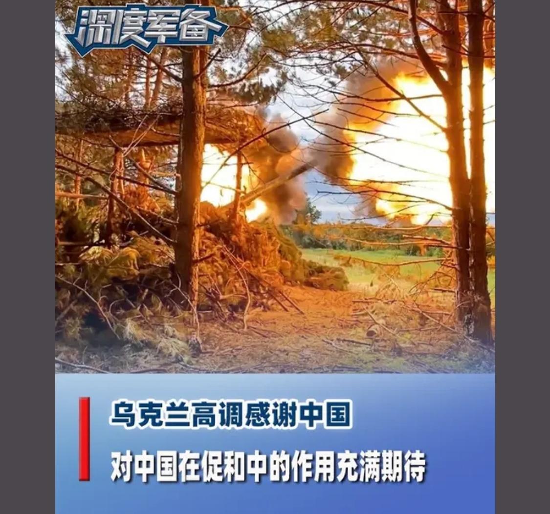 美国帮助他国都是别有用心都是阴谋，中国帮助他国都是善心，是个正常人都不能说出这样