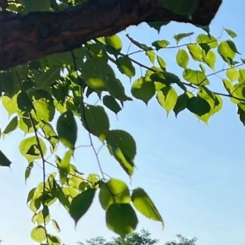 每日一善  每日一善   阳光信用 要变得温柔和强大，就算哪天突然孤身一人，也能