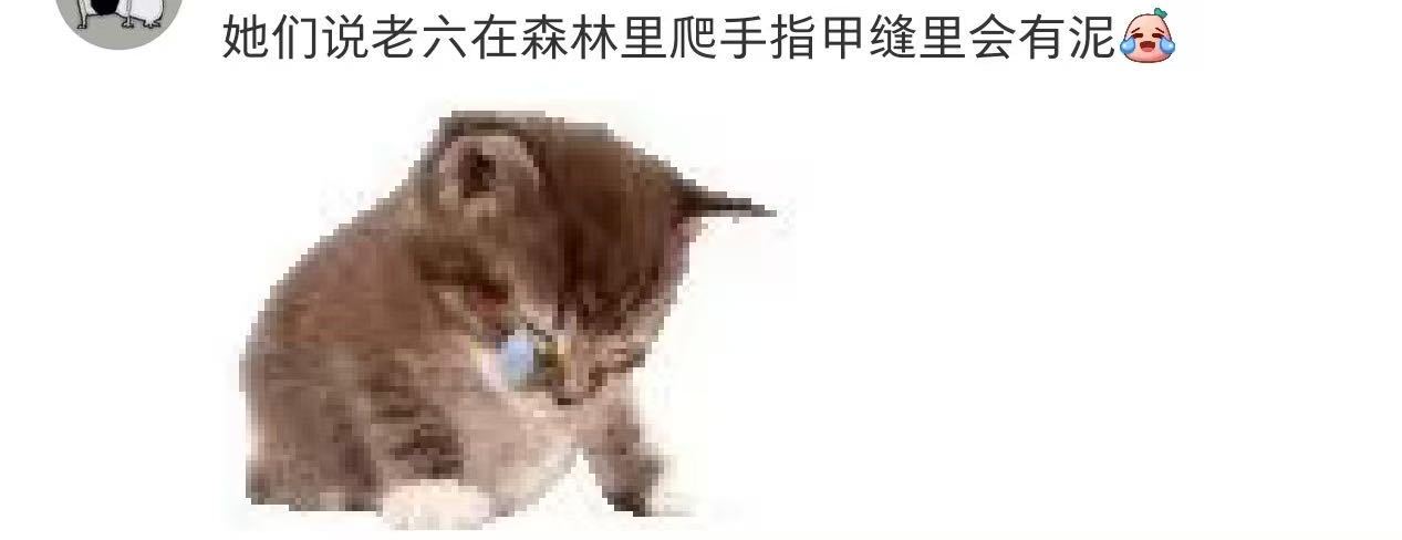 我肚肚…… 