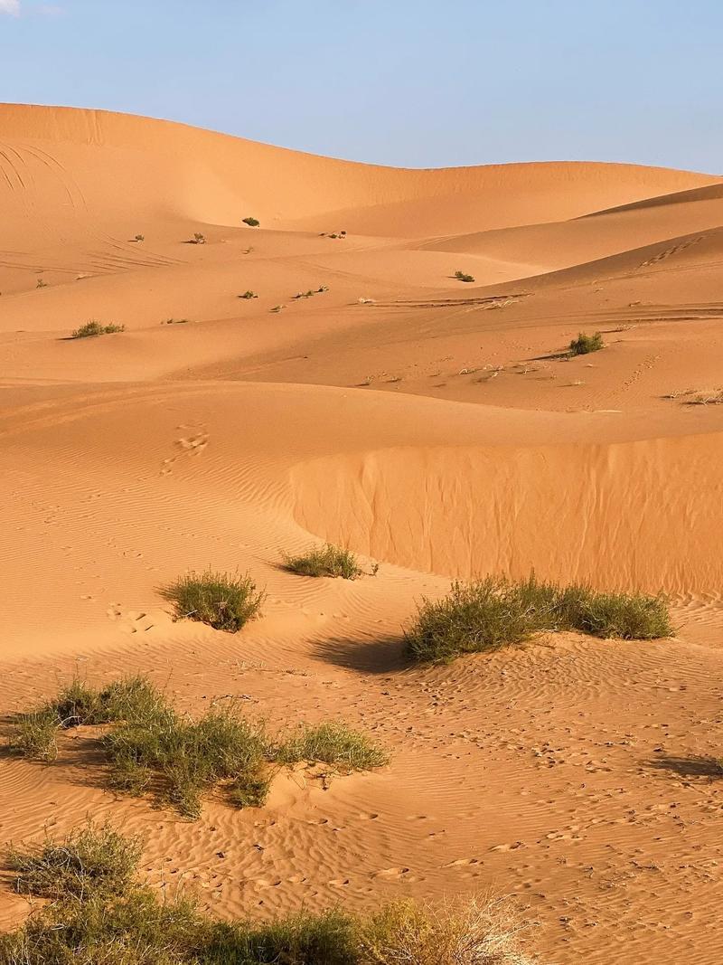 天蝎座的情感洁癖很严重，
她们一般不会轻易问伴侣，
你出轨了怎么办？你会不会背叛