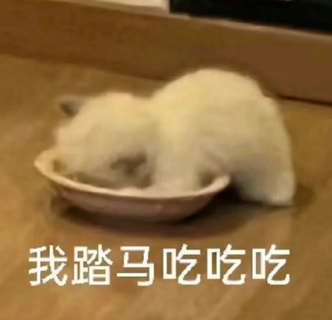 液断7天瘦了13.2斤 出门会不会晕在半路[吃瓜]胃不好的人包活的吗？ ​​​