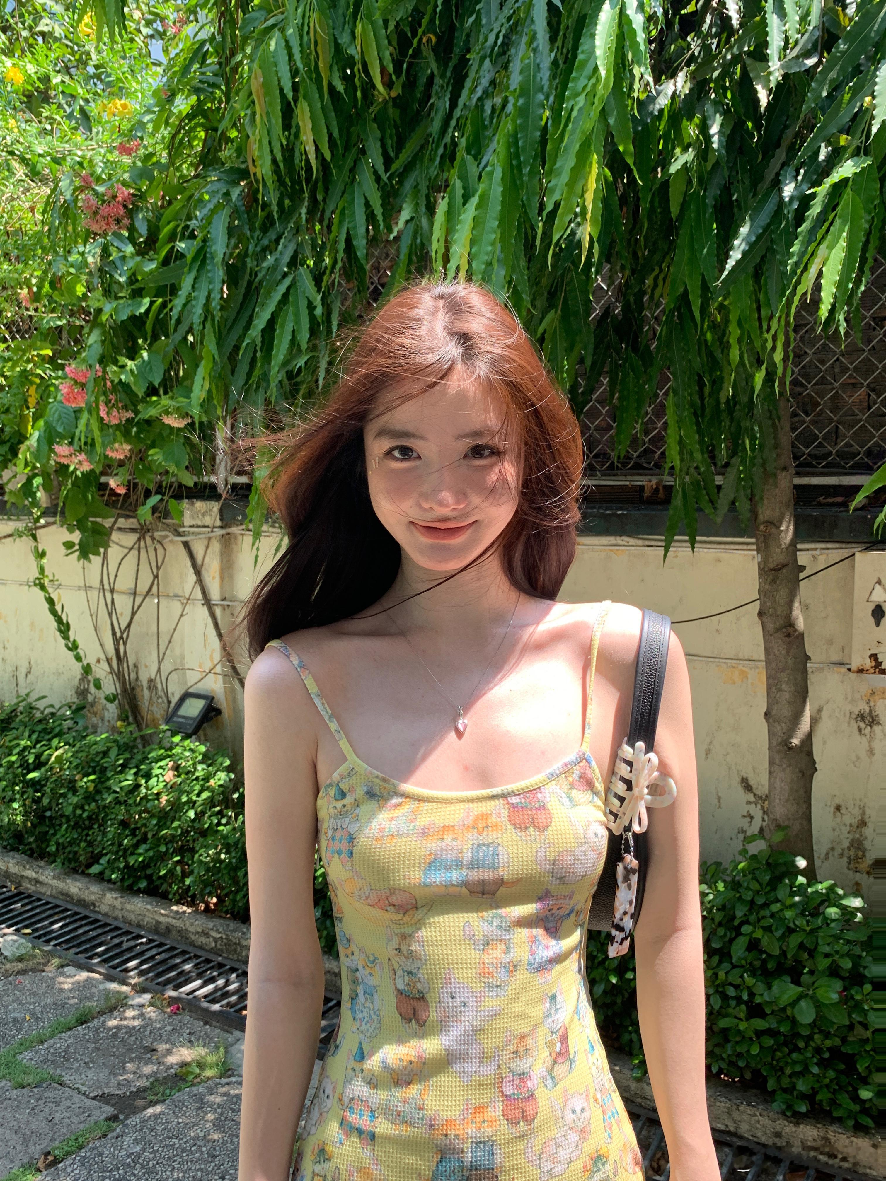🐈 依旧 阳光明媚 ​​​