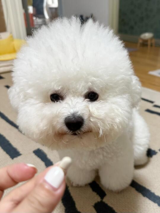 别拍了！立刻马上给我炫到嘴里来