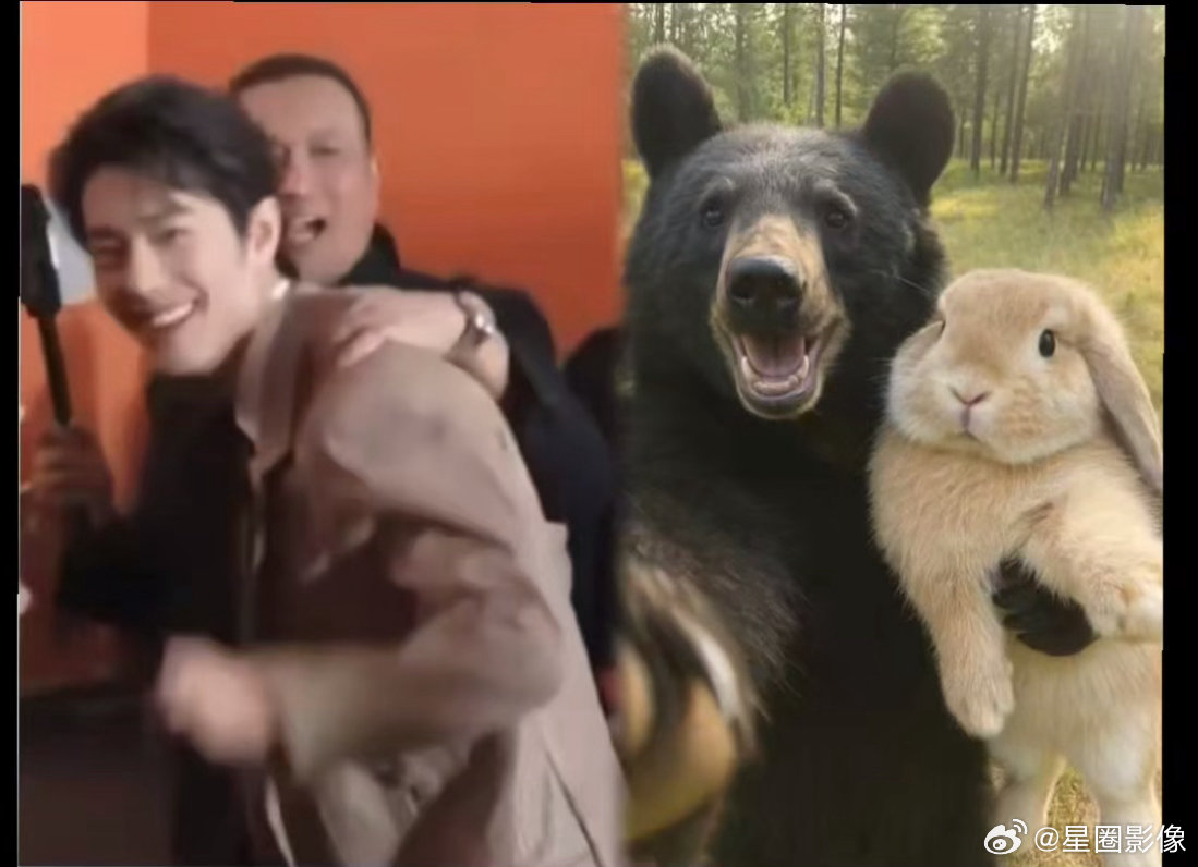 大黑熊和小棕兔，表情和颜色全都对上了