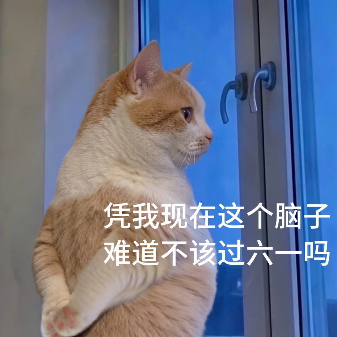 儿童节邪修带娃攻略这届家长六一带娃玩的都是自己喜欢的邪修带娃，在娃喜欢之前，更重