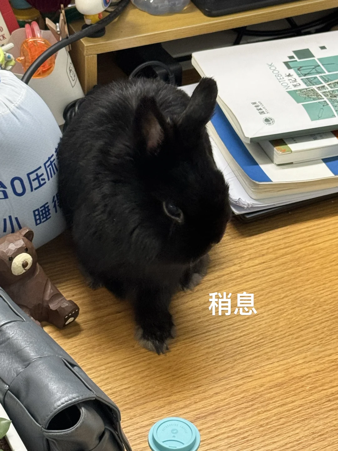 稍息！