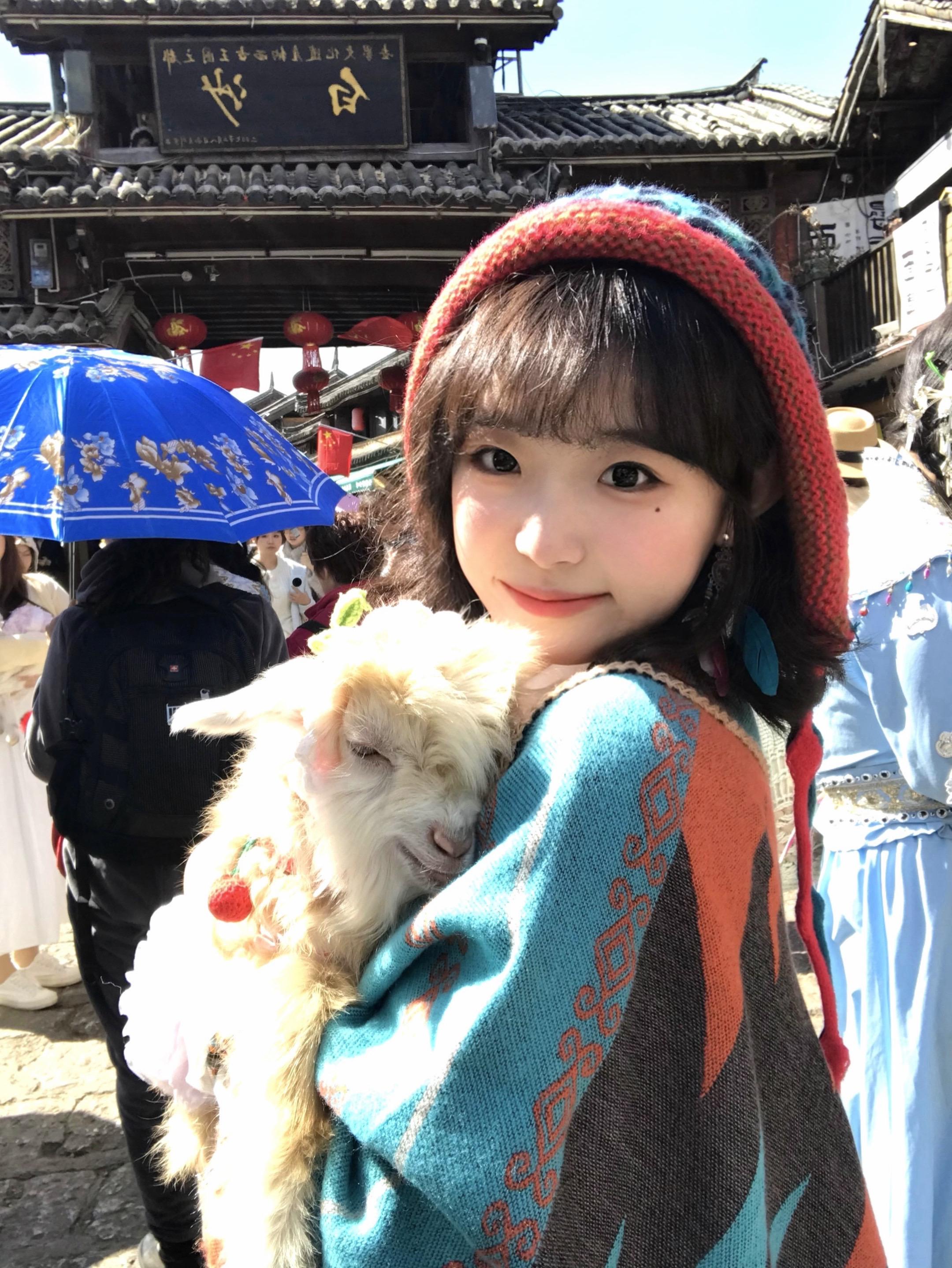 在白沙古镇抱到会发光的小羊🐑。咩咩软软的 睡的香香的