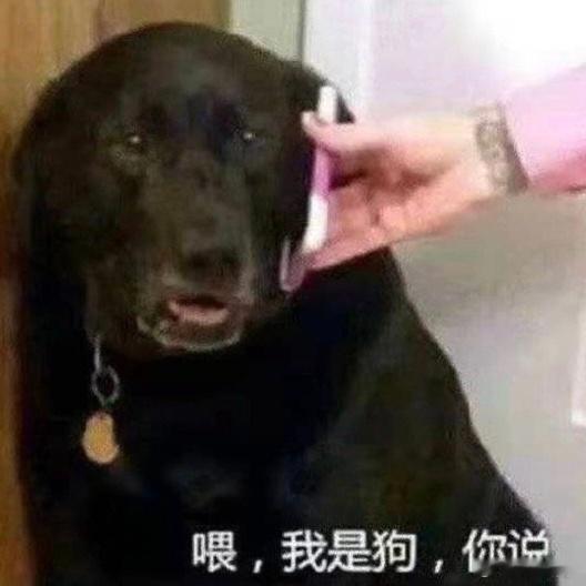 感觉又要当马窝孝女了 