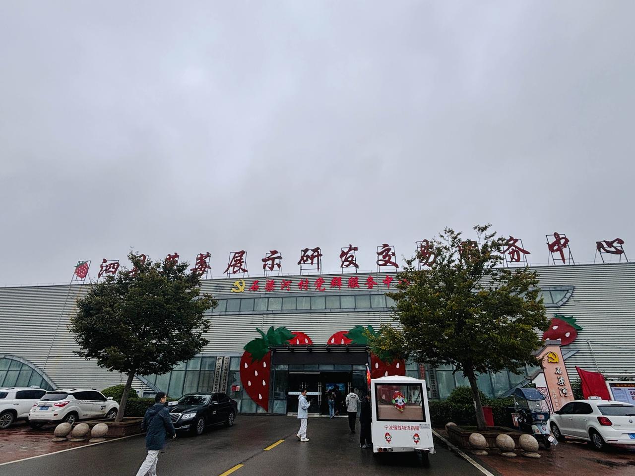 宿州泗县石梁河畔草莓园 赴一场冬日甜蜜之约[星星眼]

📌来到宿州石梁河村的草