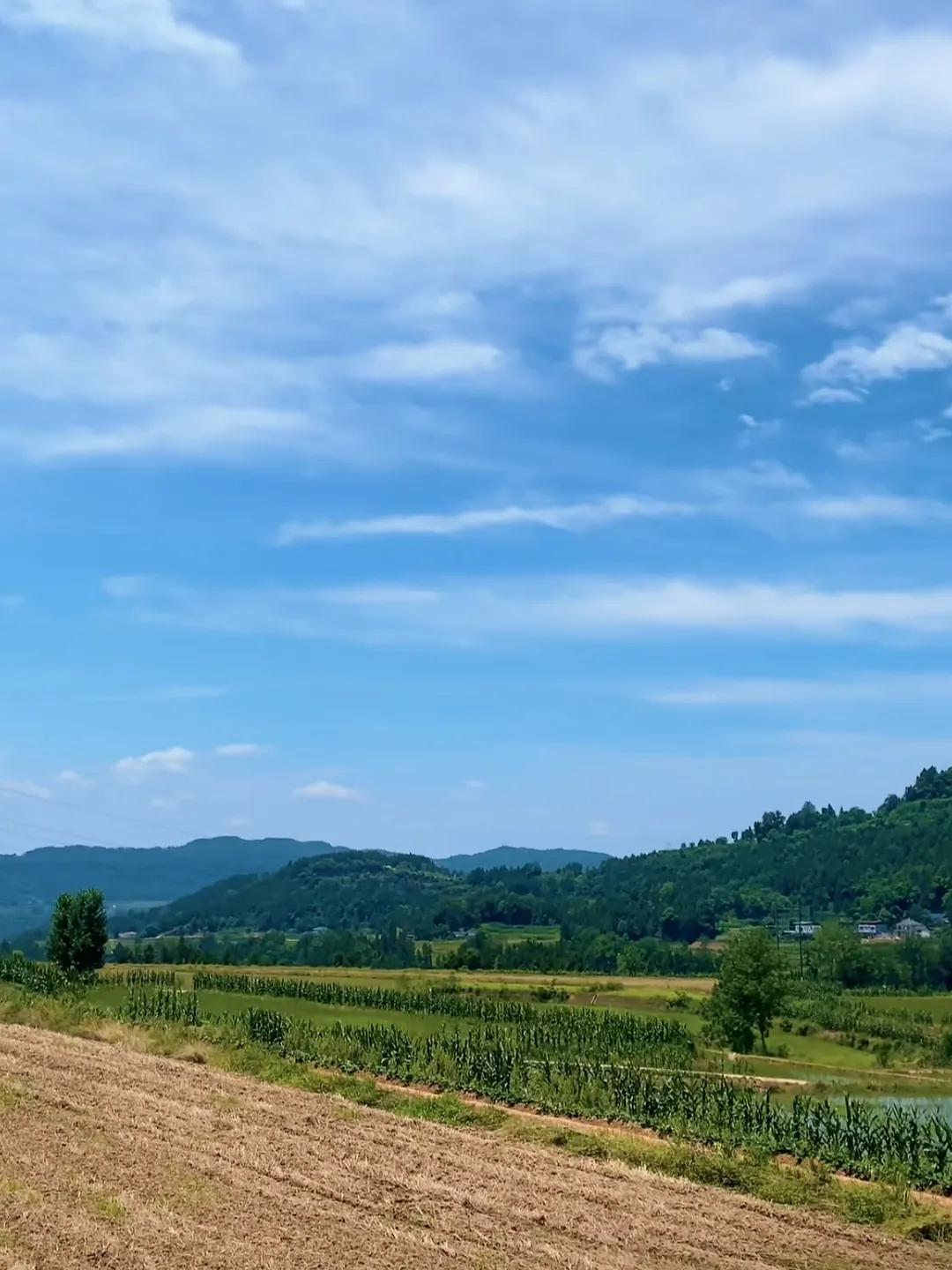 农村的天空多么蓝，多么干净