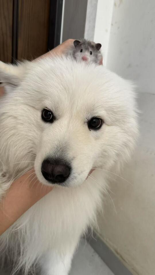 😂第一次会面！友好结束✔️