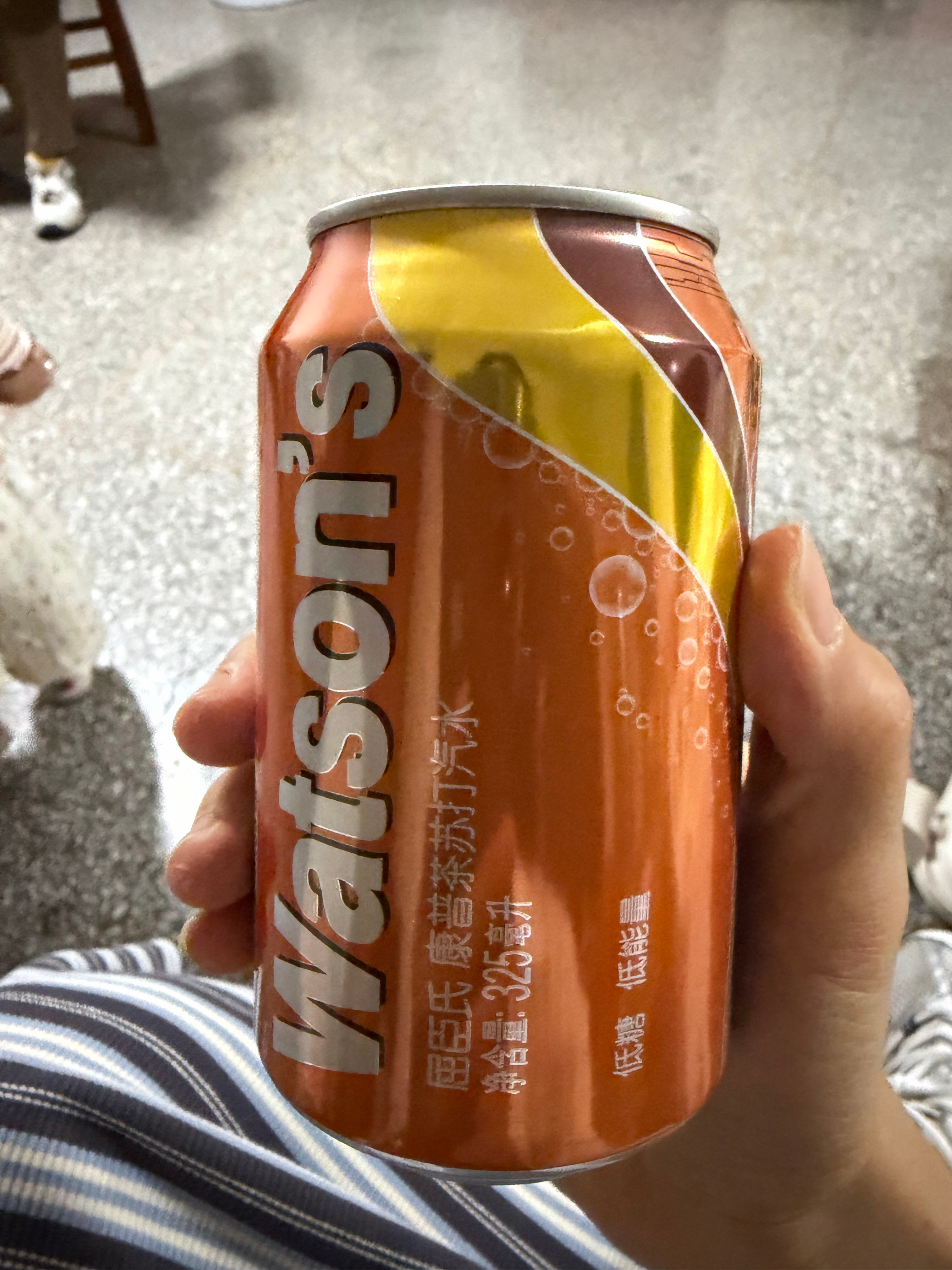 喜欢康普茶汽水 