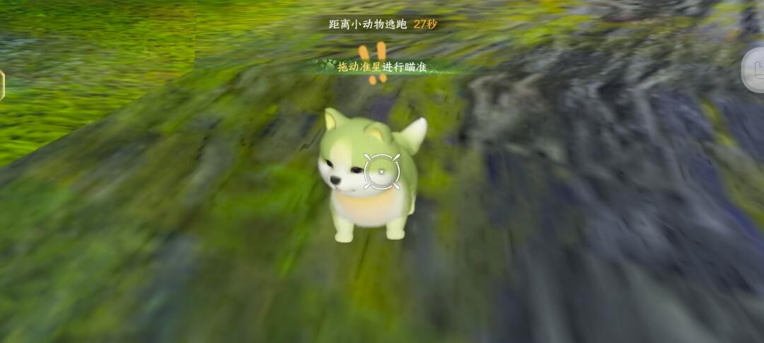 菜狗批发市场谁懂啊，死命蹲的菜狗，无意发现在这儿，最后有详细地址，没看见不要傻蹲