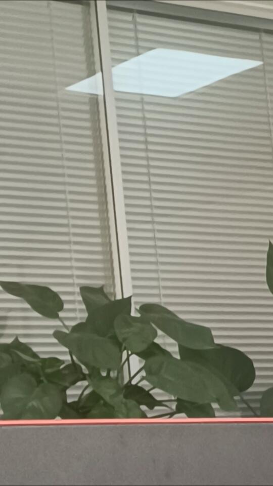 想看看你们窗边的绿植🌱
