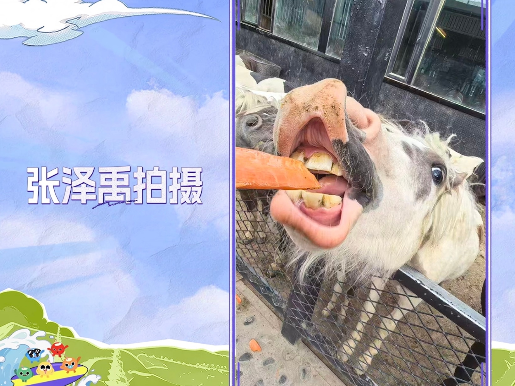 我家情侣怎么和马相关都能这么好笑 啧啧给马拍照认真的吗真被逗笑了哈哈哈哈 ​​​