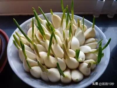 别急着扔！这6种食物发芽后不但没“毒”，营养价值可能更高！

在我们的日常生活中