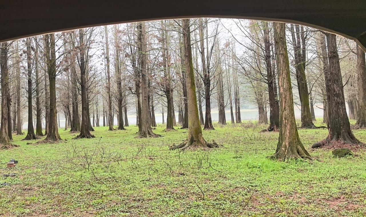 恭喜你，对一切失去兴趣。这不是颓废，而是你正在蜕变的开始！

最近收到一位读者的