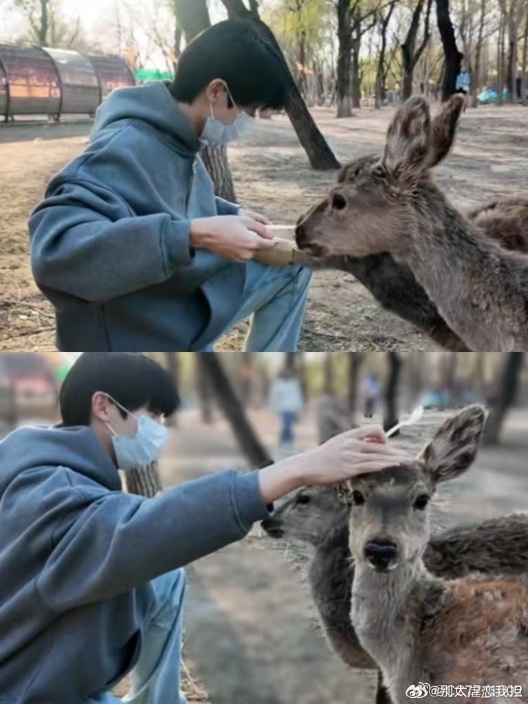 马嘉祺踏青vlog 马嘉祺在森林公园里和大自然亲密接触，踏青赏花，温暖的阳光和他