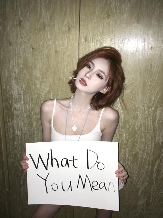 What Do You Mean?