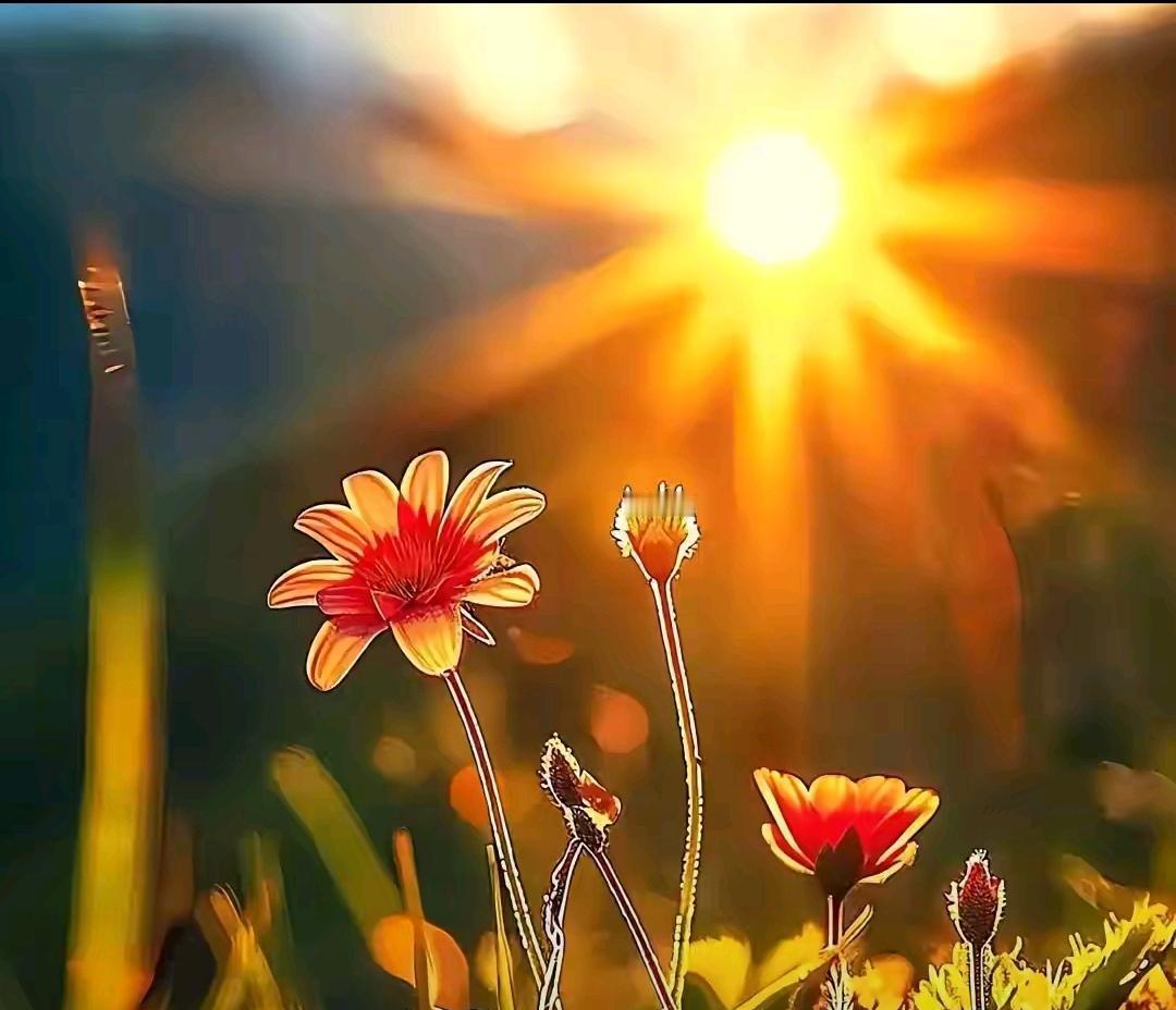 隔夜外盘：美股三大指数04月13日收盘全线上涨，其中纳指录得日线九连涨。

热门