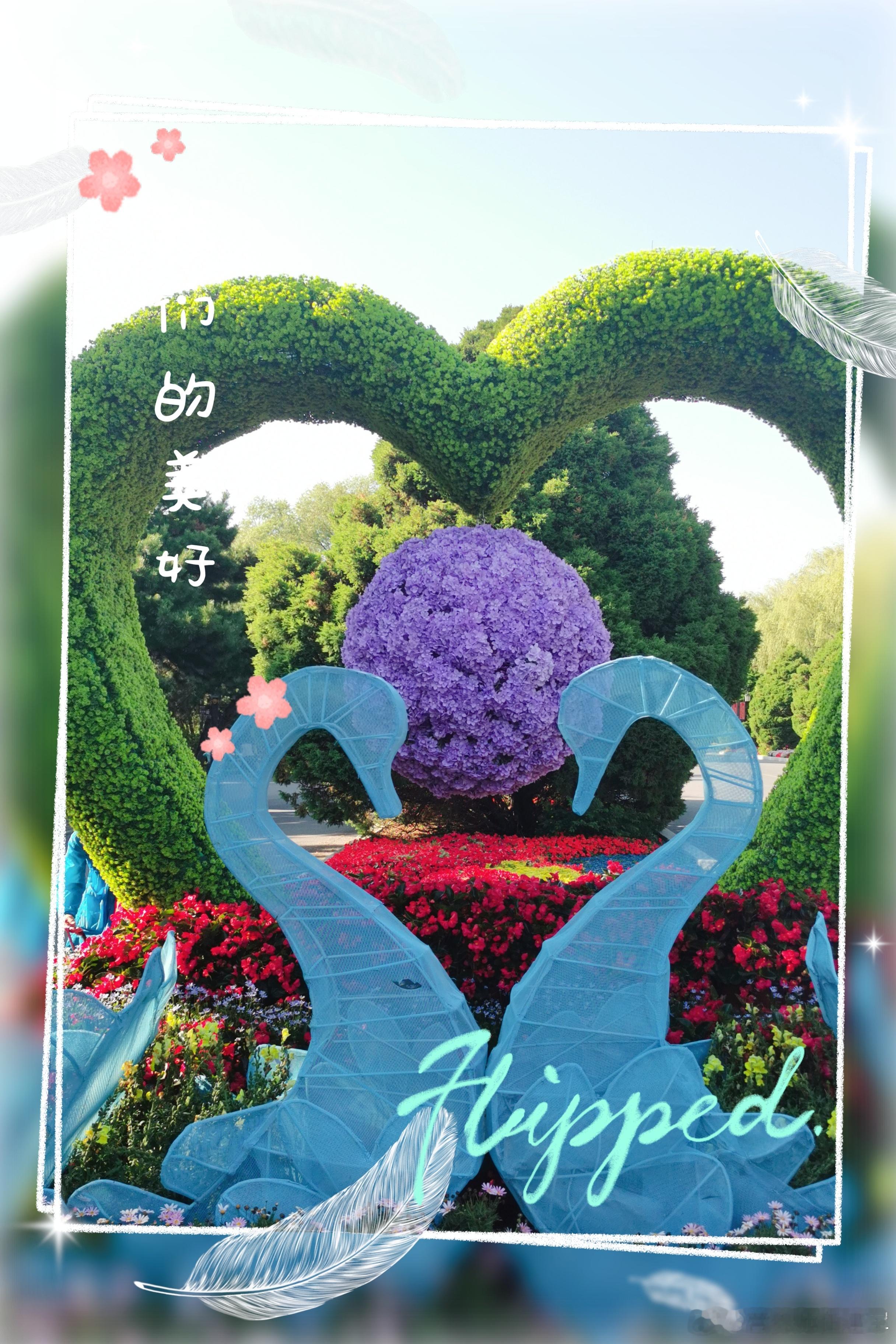 #早安# 无论惊喜还是意外，生活给我们的都是礼物🎁。早上好🌹 ​​​