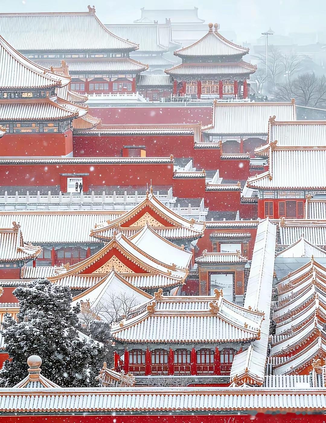 北京竟然下雪了，这雪景真的太美了！ 