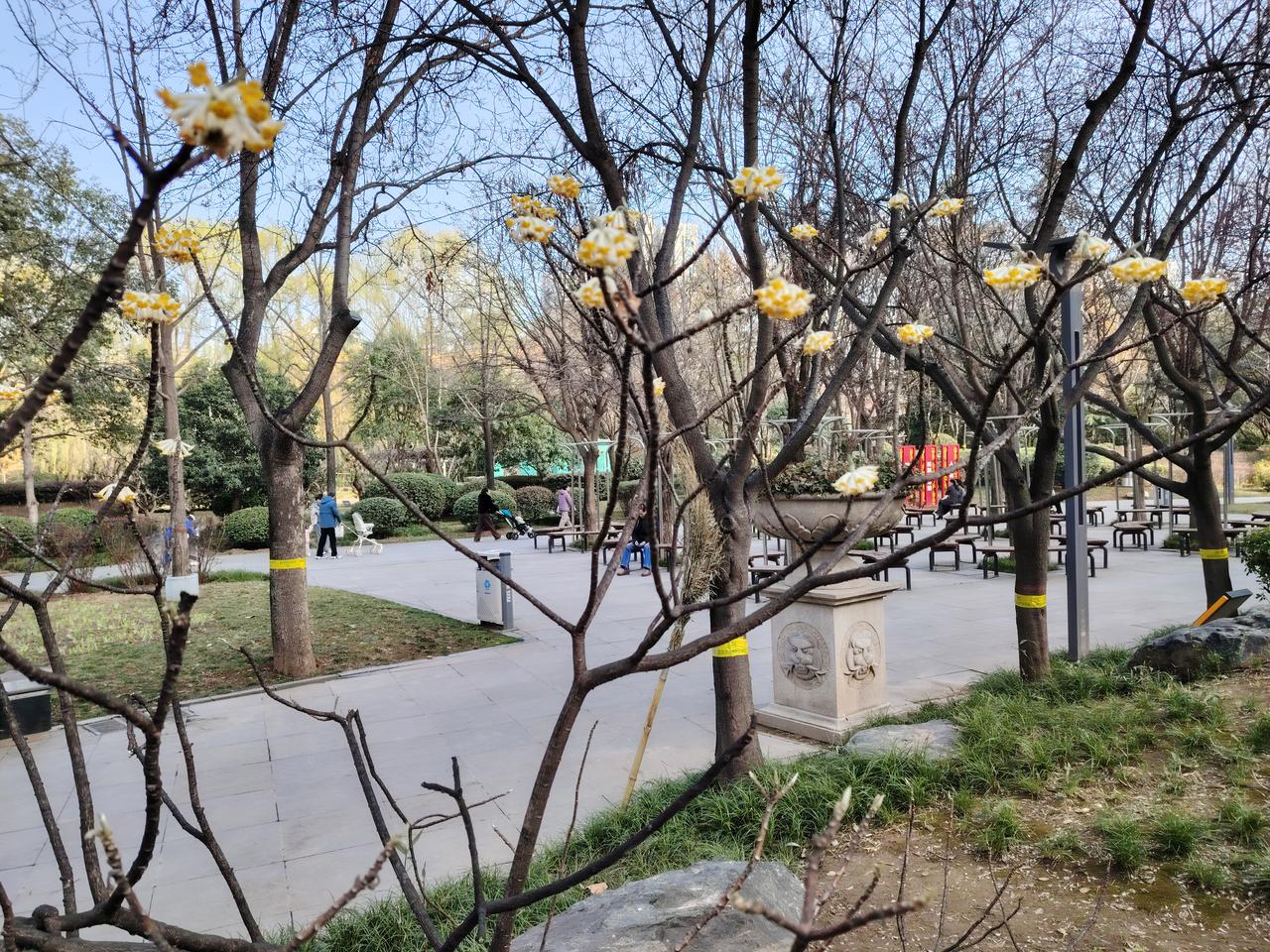 如果你给校长提问题，校长不回答，罔顾左右而言他。你要明白，校长的答非所问就是回答