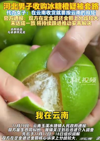 女子凭一己之力把果农干翻！云南，男子收购冰糖橙，和女子说好要全黄的，可第二天到果