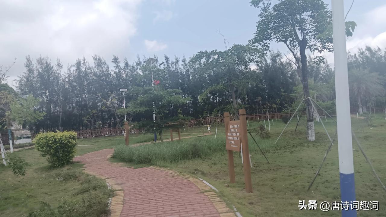 晴空万里云马行，
湖景荷塘花开戈。



晴空万区晚春花，
大地城园正绿枝。
处