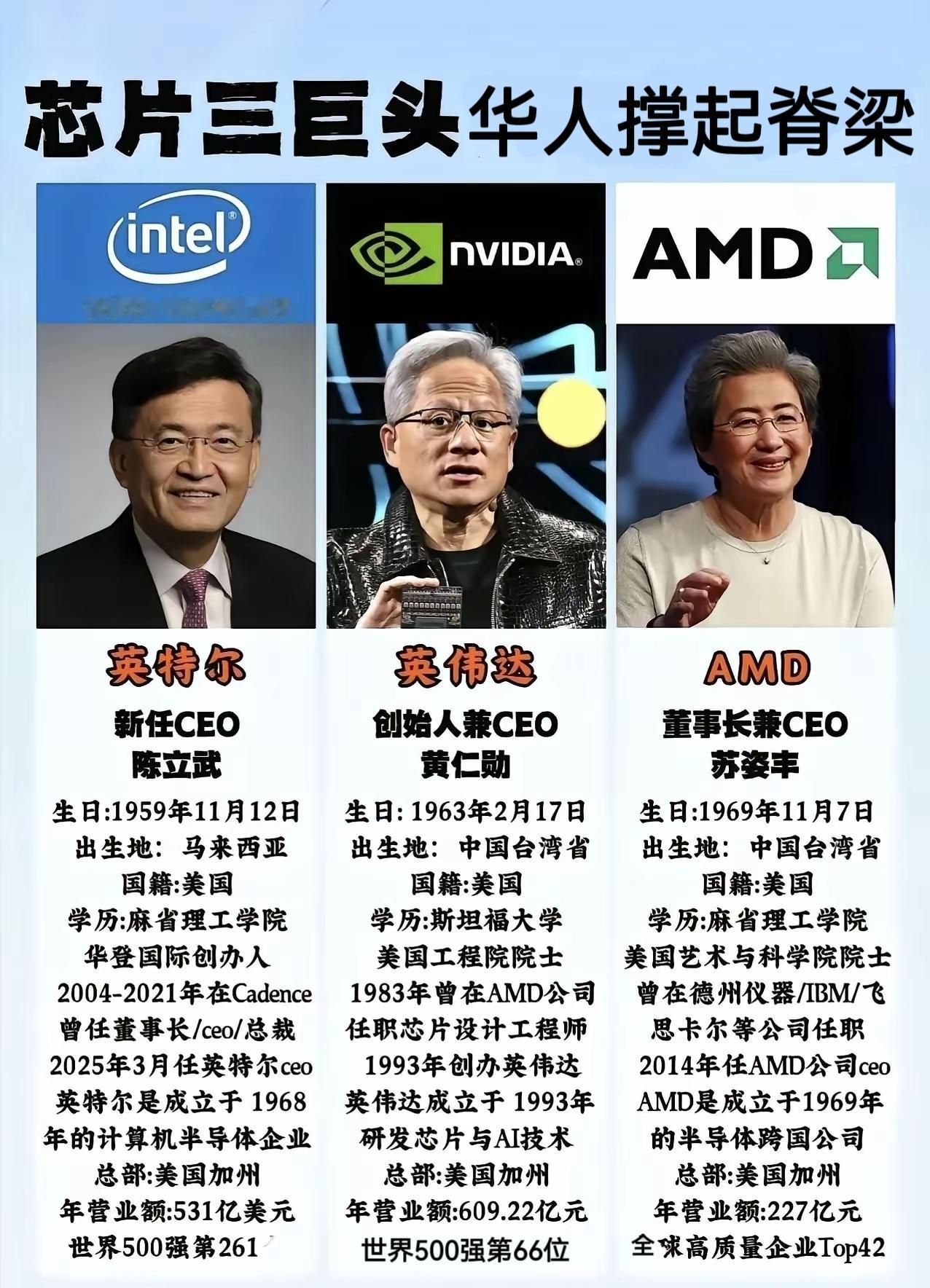 彻底颠覆认知！全球AI三大芯片巨头掌舵人全是华人