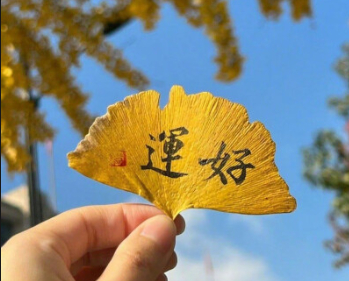 会星座的兔子 转发有好运，许愿许愿，本周好运无限，事事顺心，所有困难都会离你而去