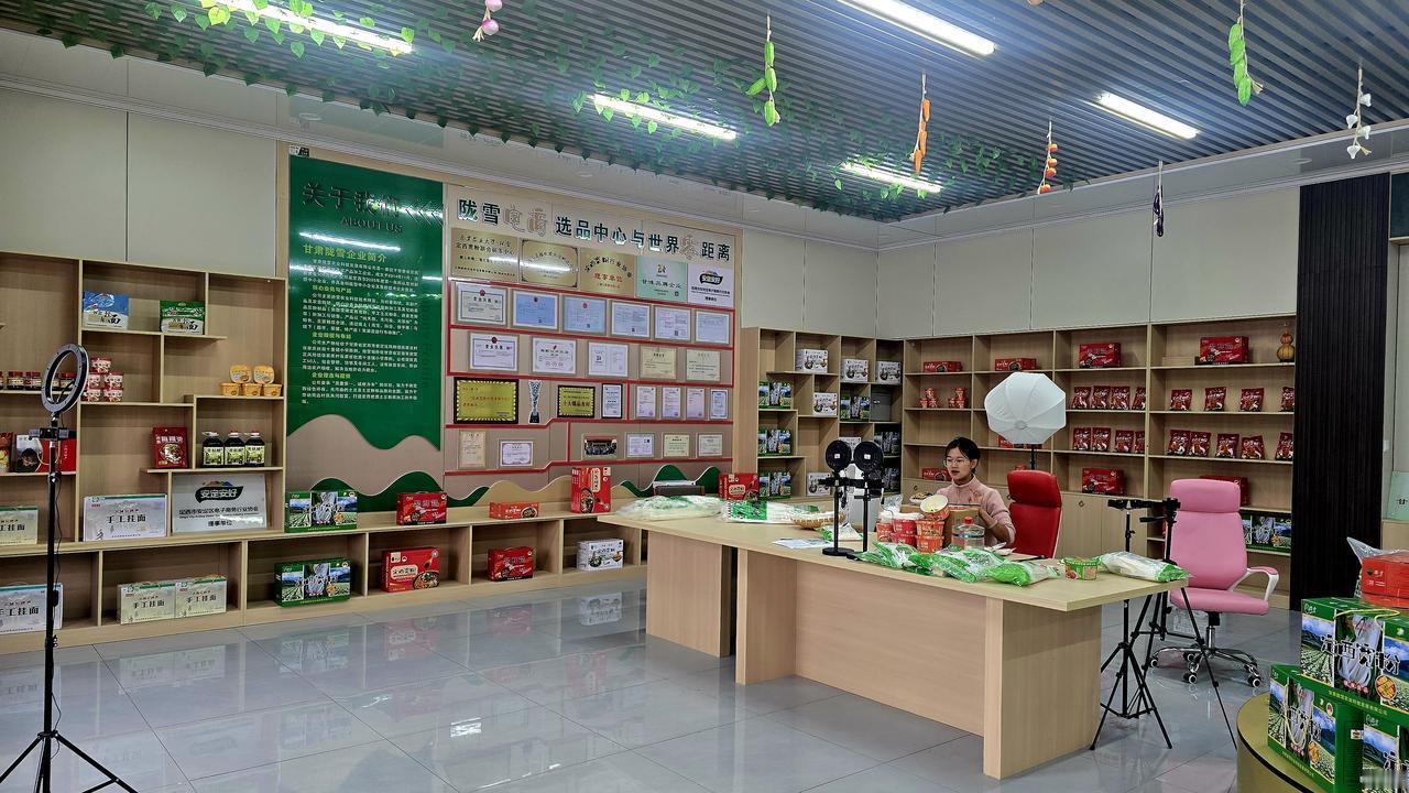 甘肃陇雪农业科技发展有限公司，是定西一家深耕洋芋粉条产业的优秀民营企业。企业坚持