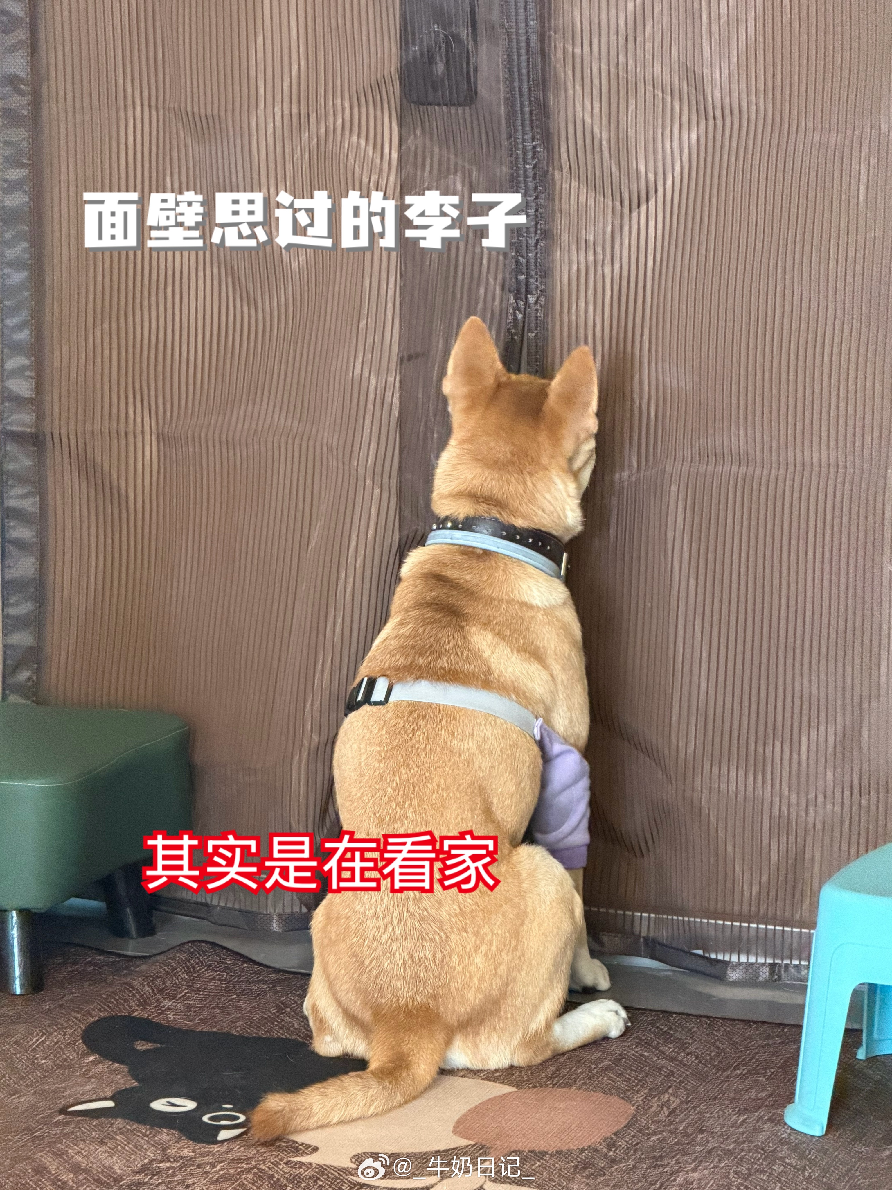 忧郁下雨天and阳光大太阳 ​​​