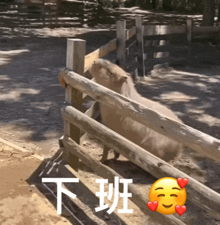 昨天晚上你突然一阵嘴疼，旁边的人问你怎么了，你说没事，但内心里你知道，在不远的乡