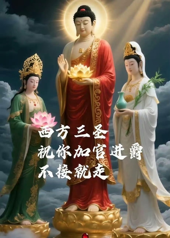 我奶奶说了，遇到西方三圣别划走，许愿真的很灵 ​​​