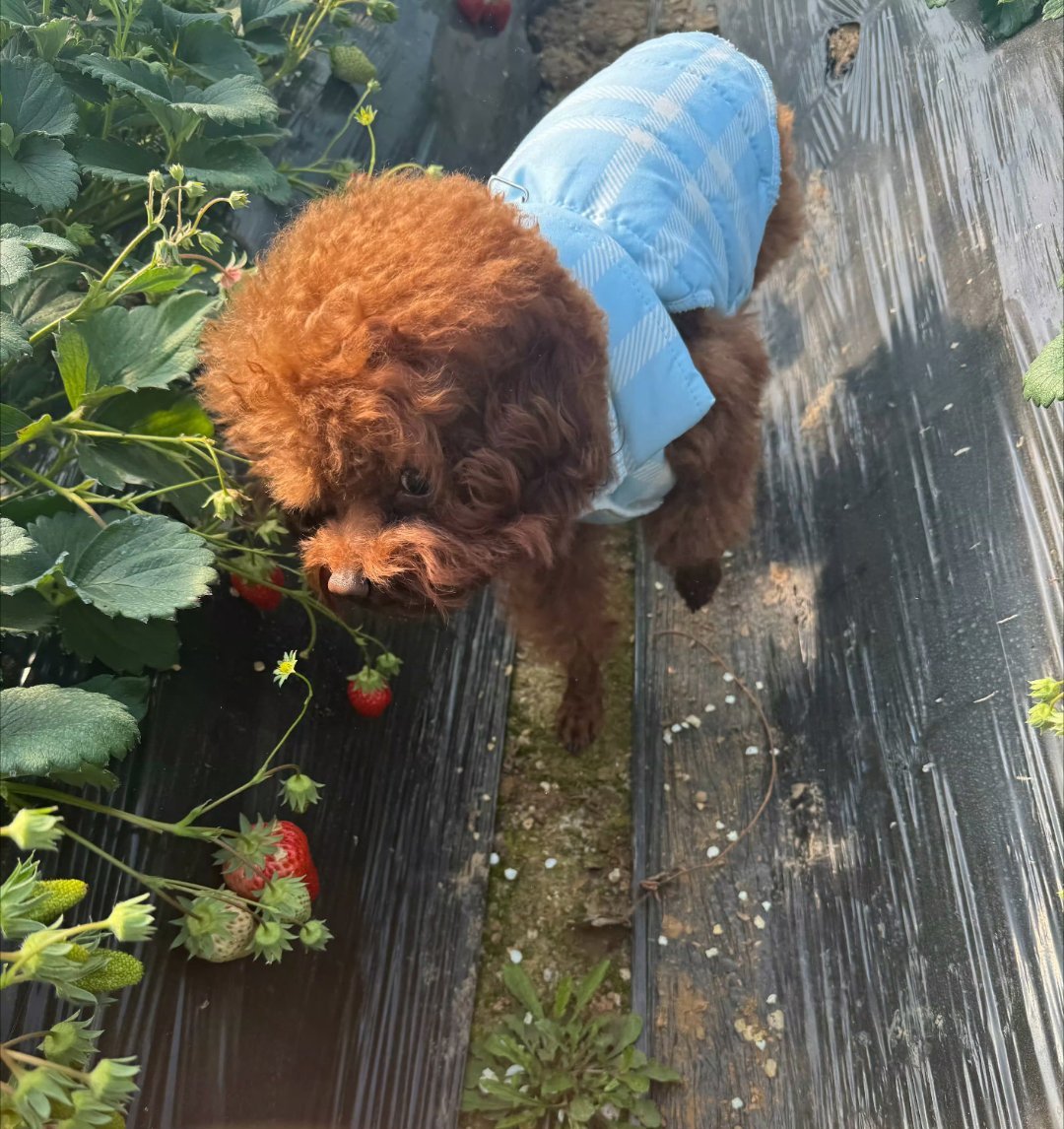 哎呦我乐哥咋这萌！ 