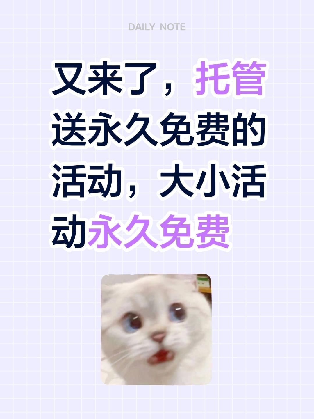 送永久免费的活动。