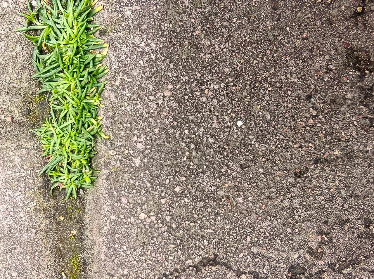 快来看看我新换的主页背景吧