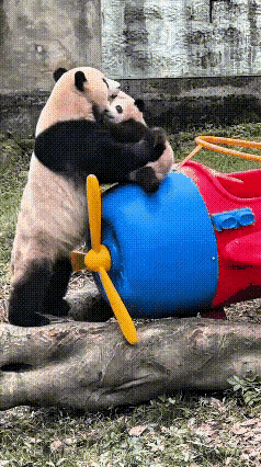 莽小五和莽仔妈妈那些让人捧腹大笑的欢乐场景，是不是让人深深怀念？
当我翻到手机相