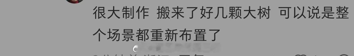 李一桐、陈星旭金枝开始置景了！ 