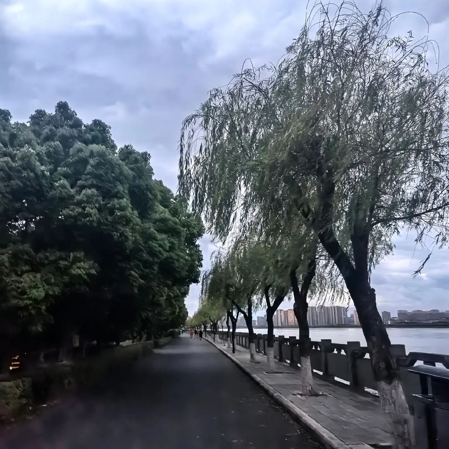 小趴菜10公里PB成功，感谢饼哥，陈哥，李哥，向姐的陪跑🫶，最后几百...