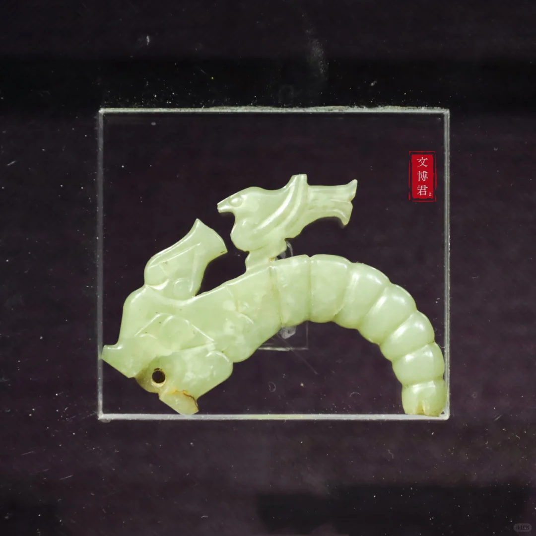 蚕宝宝+龙+鸟，这是什么神仙搭配？